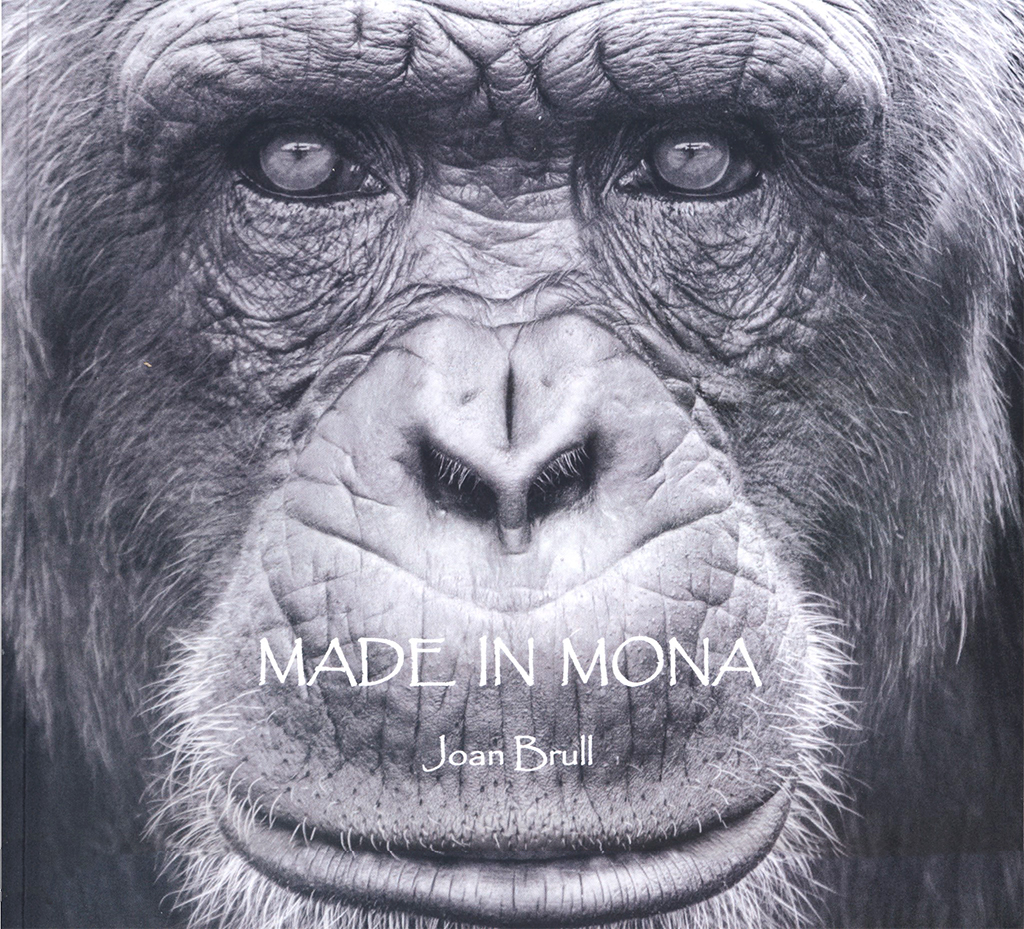MADE IN MONA 1