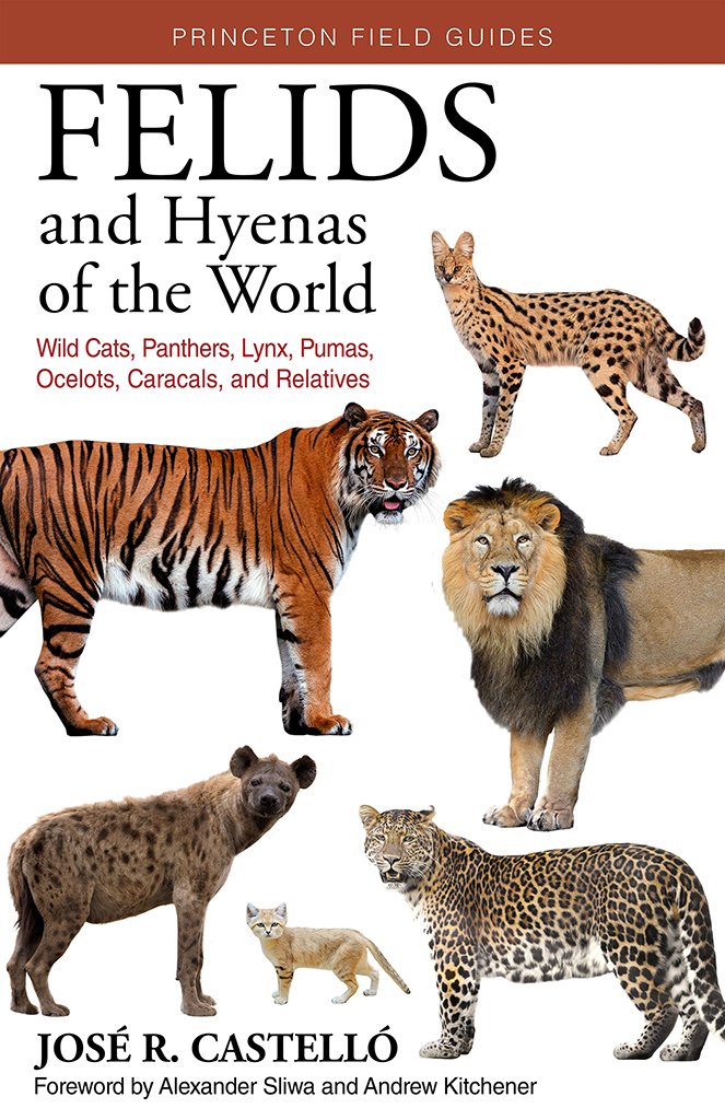 FELIDS AND HYENAS OF THE WORLD. WILD CATS, PANTHERS, LYNX, PUMAS, OCELOTS, CARACALS, AND RELATIVES