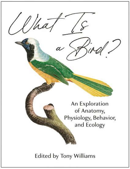 WHAT IS A BIRD? AN EXPLORATION OF ANATOMY, PHYSIOLOGY, BEHAVIOR, AND ECOLOGY 1