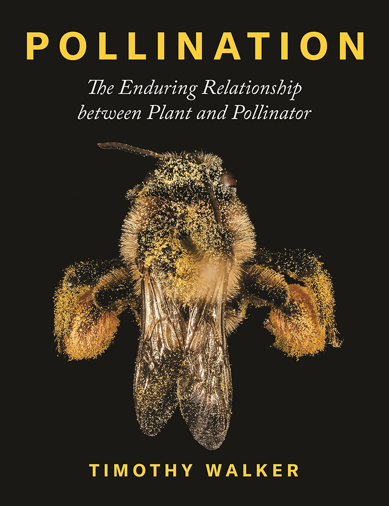 POLLINATION. THE ENDURING RELATIONSHIP BETWEEN PLANT AND POLLINATOR 1