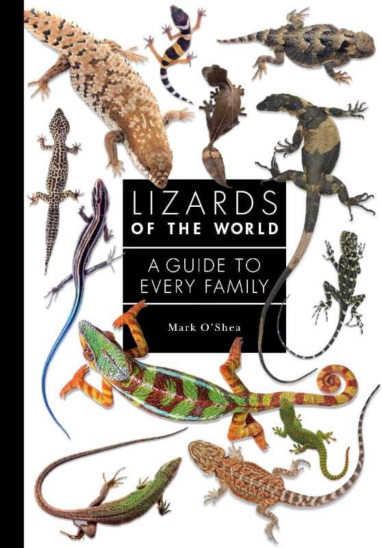 LIZARDS OF THE WORLD. A GUIDE OF EVERY FAMILY 1
