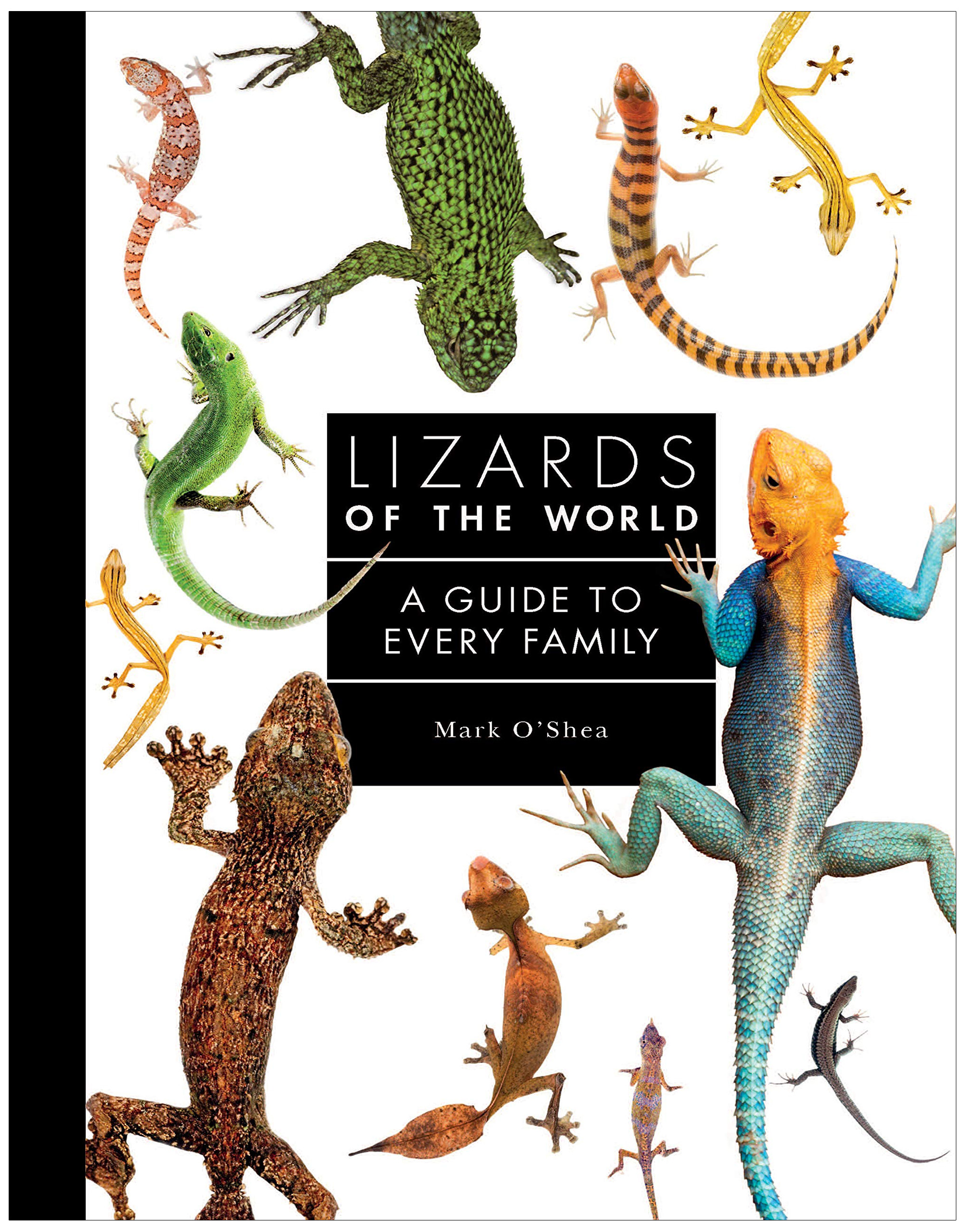 LIZARDS OF THE WORLD. A GUIDE OF EVERY FAMILY