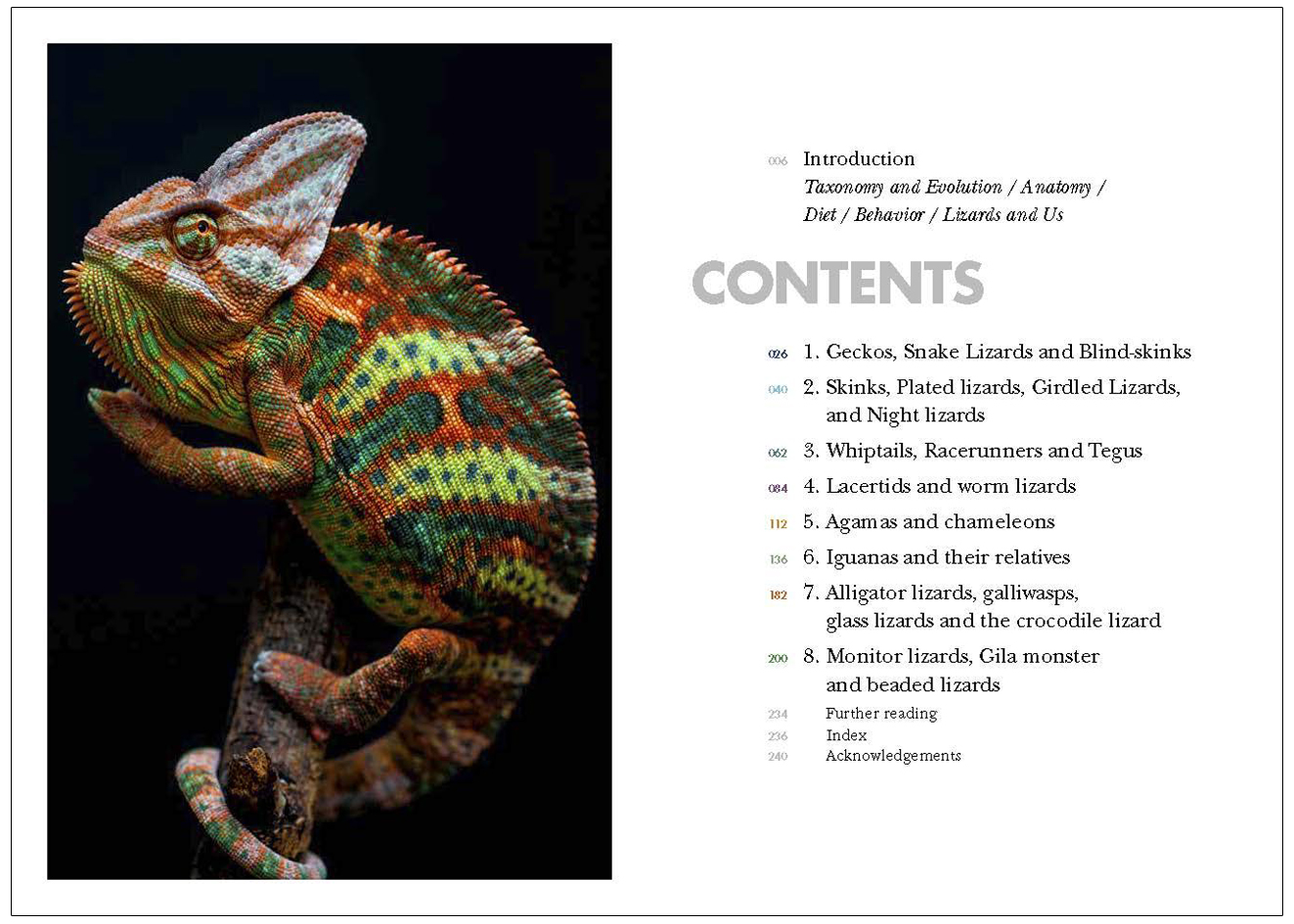 LIZARDS OF THE WORLD. A GUIDE OF EVERY FAMILY 2