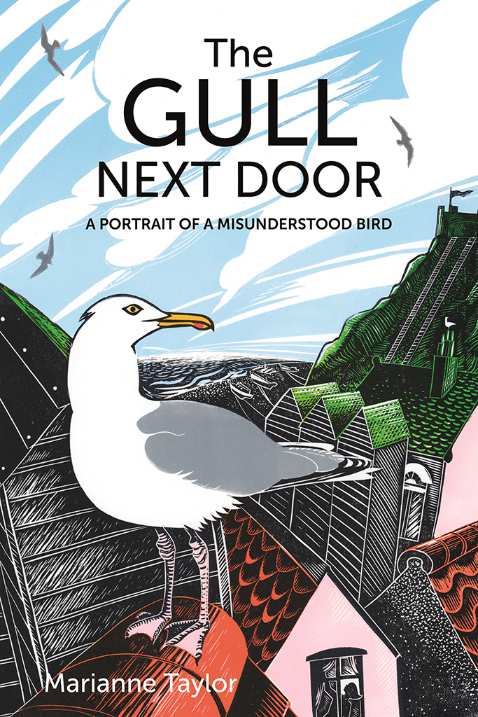 THE GULL NEXT DOOR. A PORTRAIT OF A MISUNDERSTOOD BIRD 1