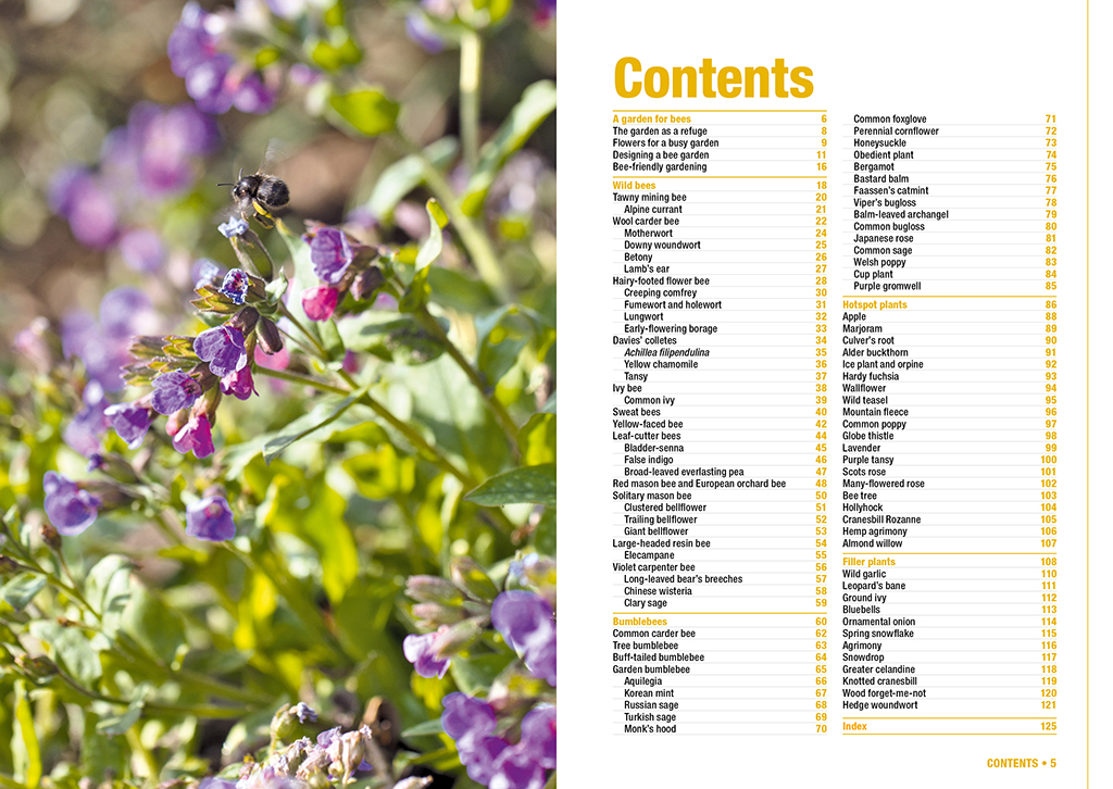 BEE GARDEN. ALL YOU NEED TO KNOW IN ONE CONCISE MANUAL 2