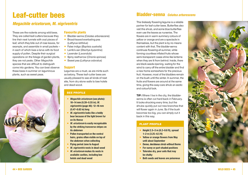 BEE GARDEN. ALL YOU NEED TO KNOW IN ONE CONCISE MANUAL 3
