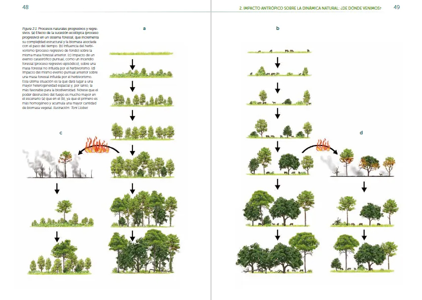 REWILDING IBERIA. EXPLORANDO EL POTENCIAL DE LA RENATURALIZACIÓN EN ESPAÑA 3