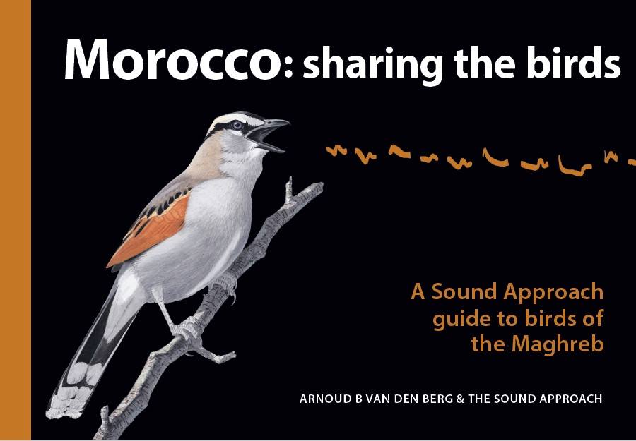 MOROCCO: SHARING THE BIRDS. A SOUND APPROACH GUIDE TO BIRDS OF THE MAGHREB 1