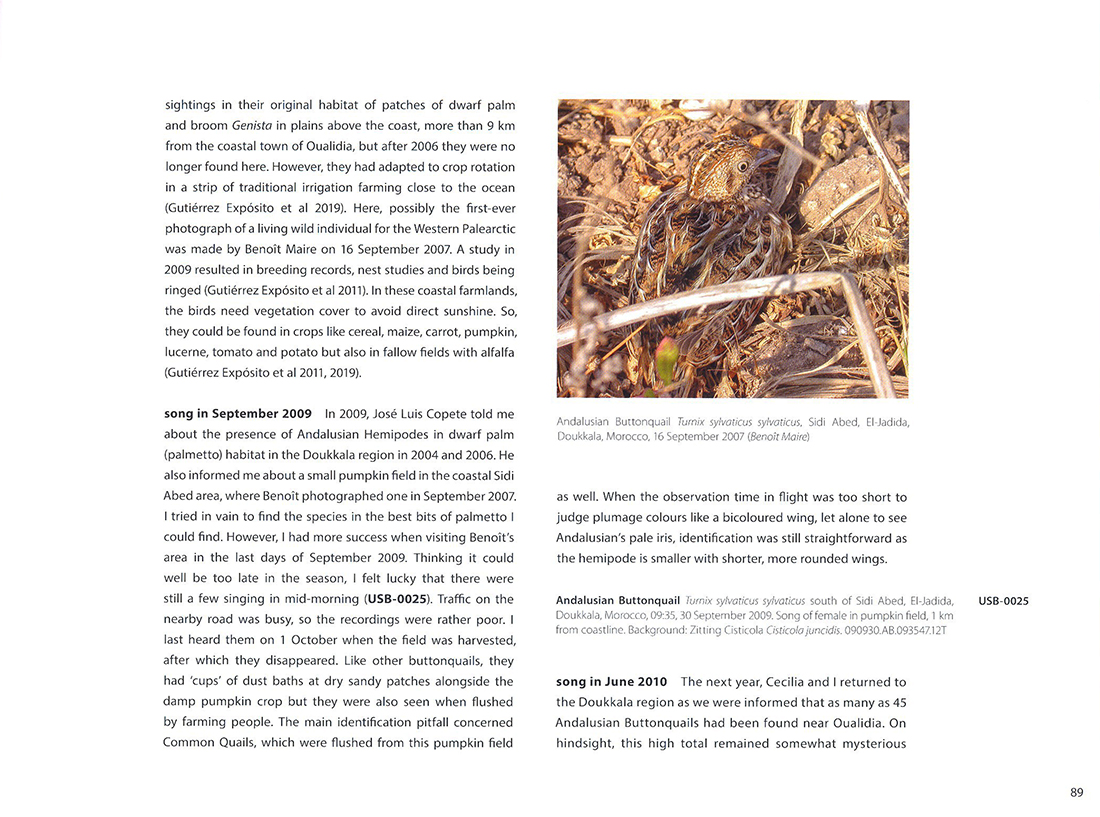 MOROCCO: SHARING THE BIRDS. A SOUND APPROACH GUIDE TO BIRDS OF THE MAGHREB 3