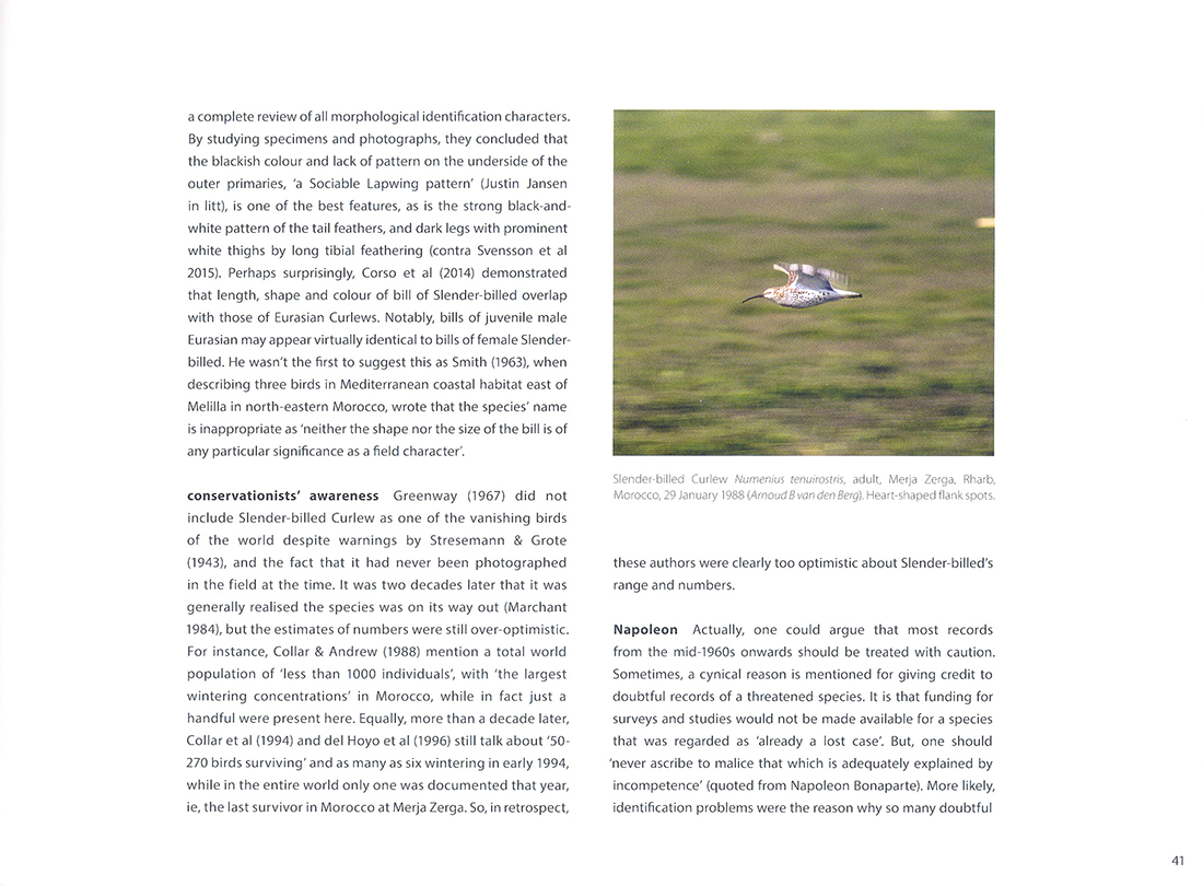 MOROCCO: SHARING THE BIRDS. A SOUND APPROACH GUIDE TO BIRDS OF THE MAGHREB 4