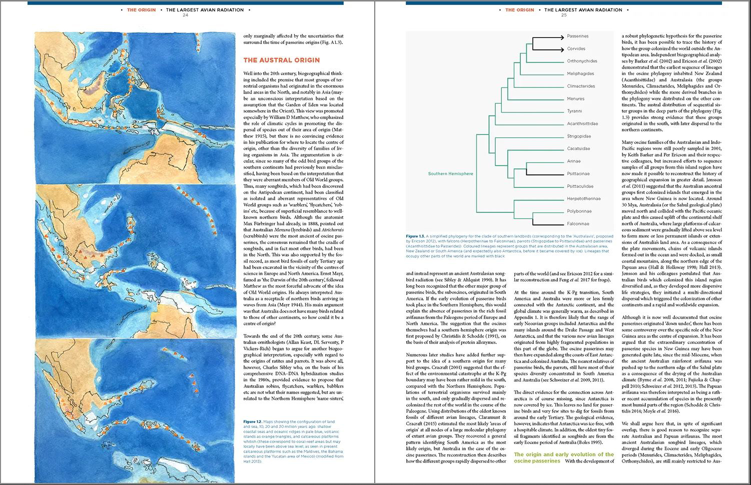THE LARGEST AVIAN RADIATION. THE EVOLUTION OF PERCHING BIRDS, OR THE ORDER PASSERIFORMES 2