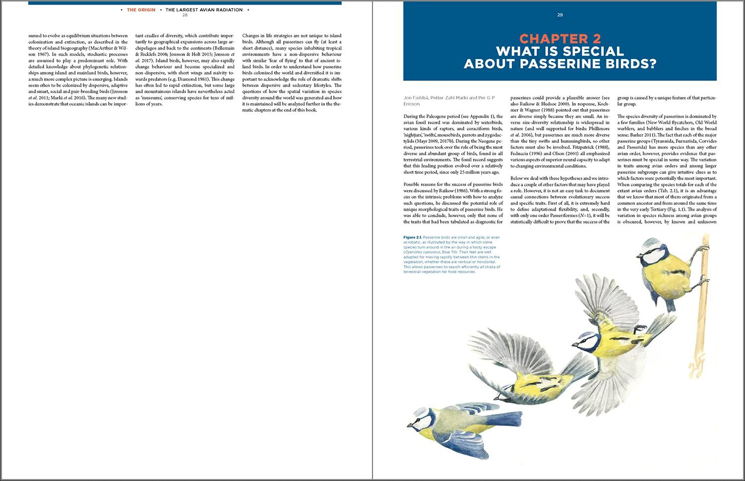 THE LARGEST AVIAN RADIATION. THE EVOLUTION OF PERCHING BIRDS, OR THE ORDER PASSERIFORMES 4