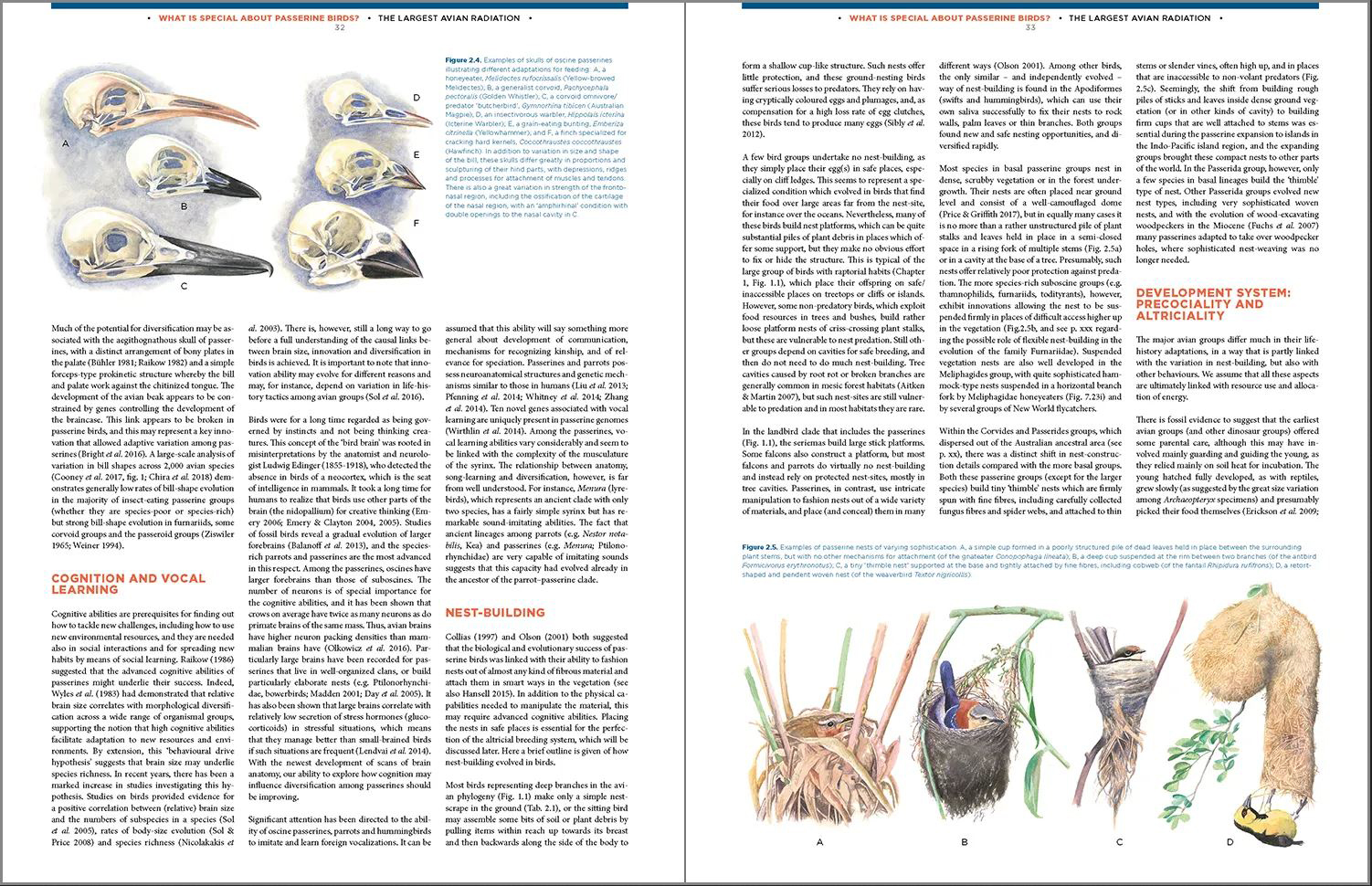 THE LARGEST AVIAN RADIATION. THE EVOLUTION OF PERCHING BIRDS, OR THE ORDER PASSERIFORMES 6