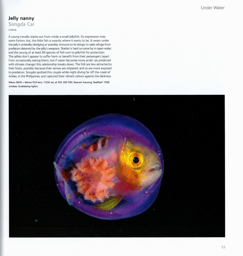 WILDLIFE PHOTOGRAPHER OF THE YEAR. PORTFOLIO 30 2