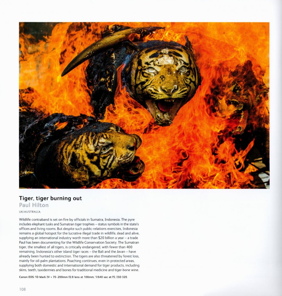 WILDLIFE PHOTOGRAPHER OF THE YEAR. PORTFOLIO 30 3