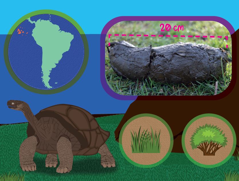 EXCREMENTUM. UN LLIBRE DE CAQUES BESTIALS 2