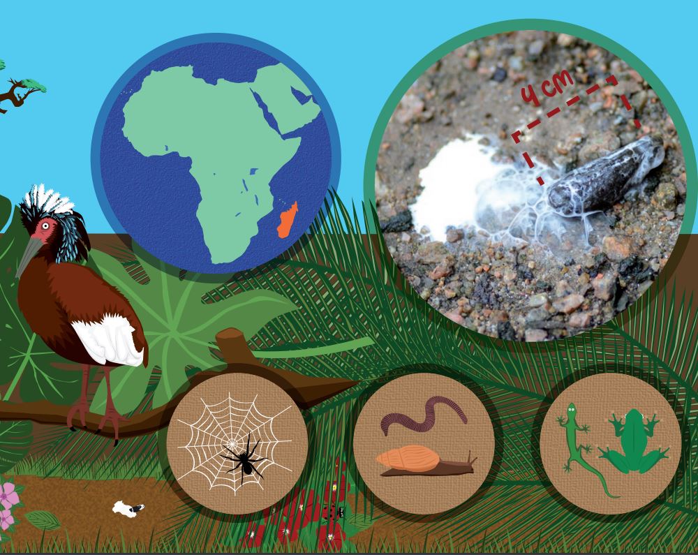 EXCREMENTUM. UN LLIBRE DE CAQUES BESTIALS 3