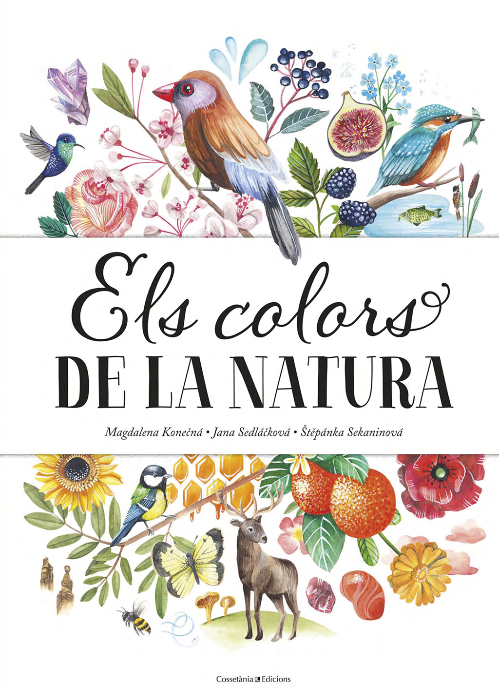 ELS COLORS DE LA NATURA