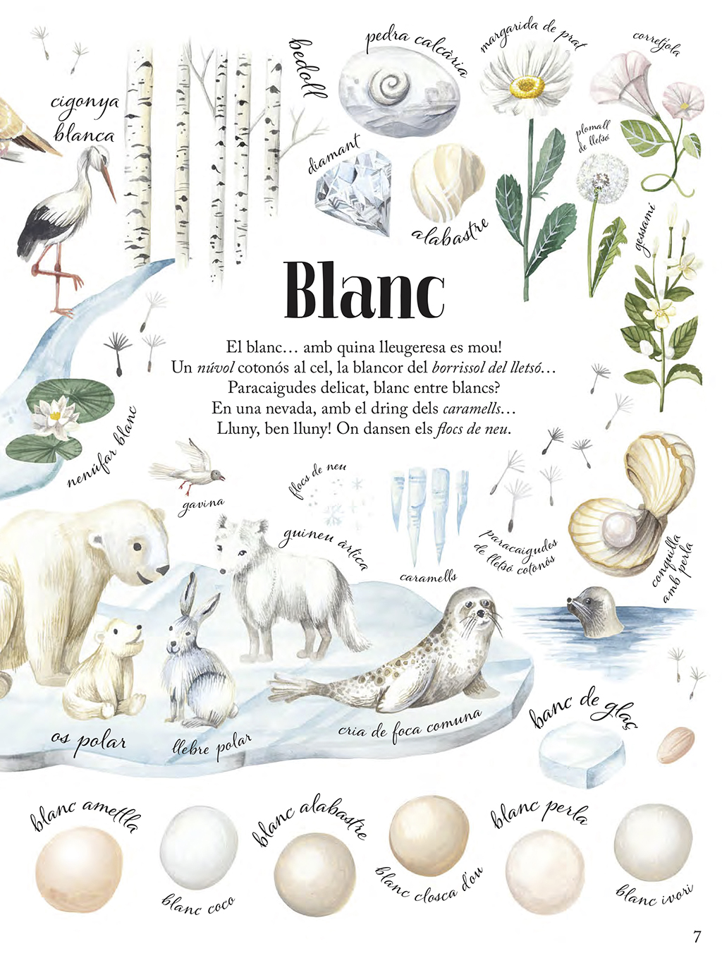 ELS COLORS DE LA NATURA 2