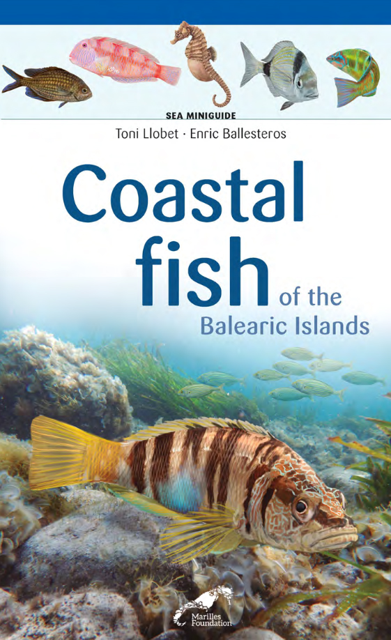 COASTAL FISH OF THE BALEARIC ISLANDS. SEA MINIGUIDE 1