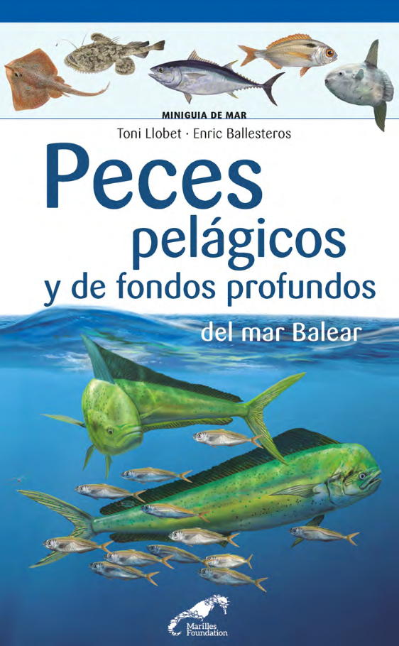 PECES PELÁGICOS Y DE FONDOS PROFUNDOS DEL MAR BALEAR. MINIGUIA DE MAR