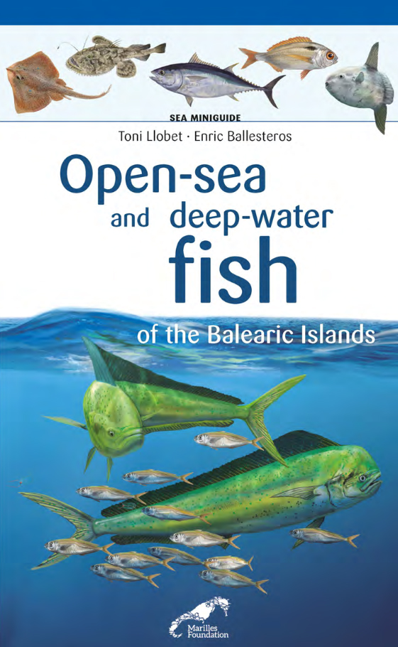 OPEN-SEA AND DEEP-WATER FISH OF THE BALEARIC ISLANDS. SEA MINIGUIDE