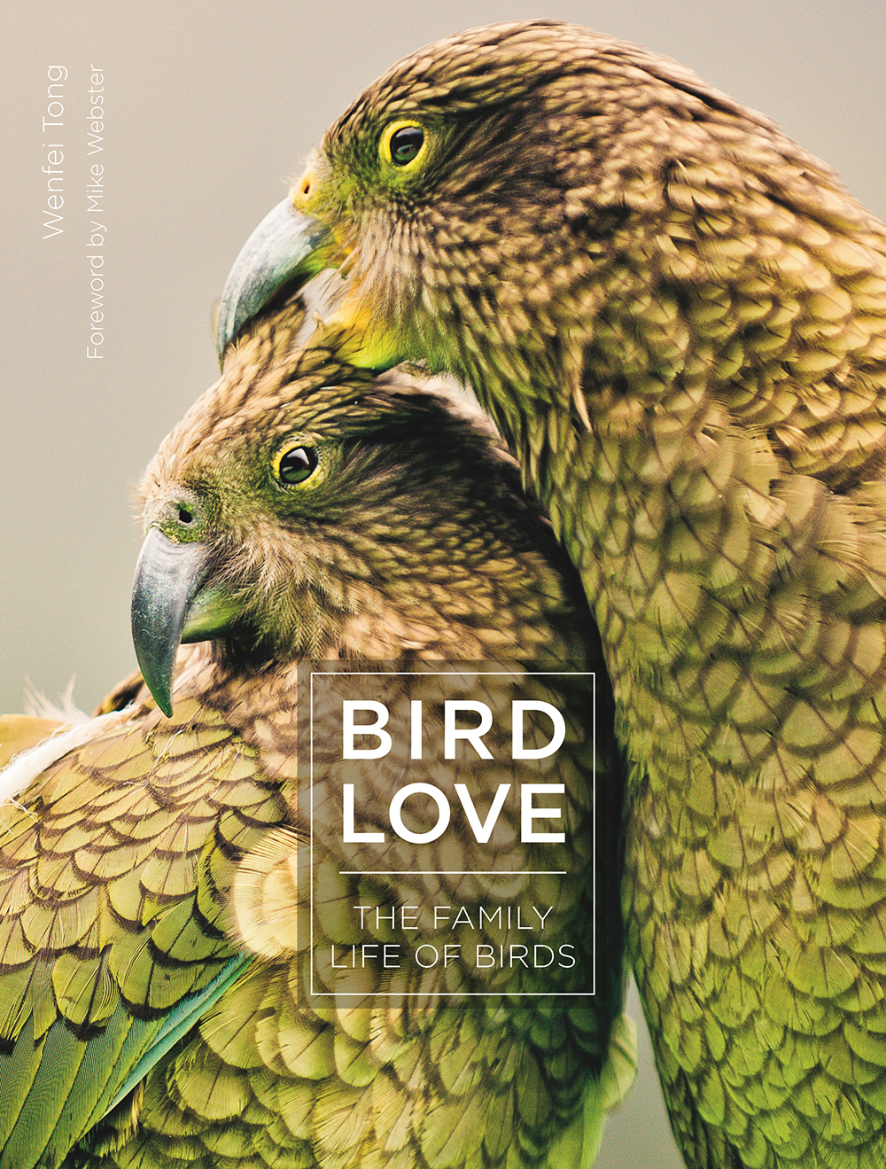 BIRD LOVE. THE FAMILY OF BIRDS