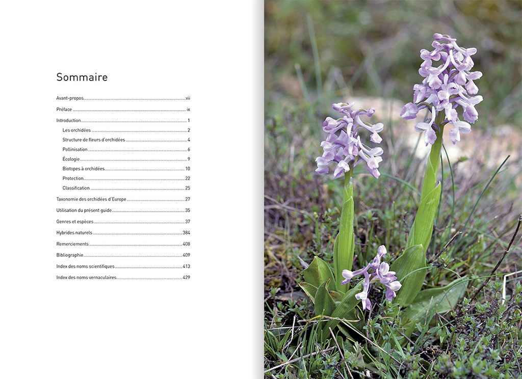 ORCHIDÉES D'EUROPE & DE MÉDITERRANÉE 2