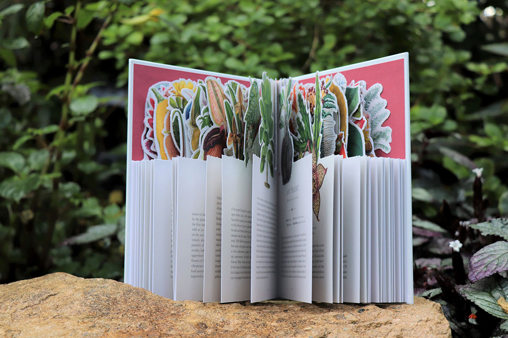 ROYAL BOTANIC GARDENS KEW - THE TROPICAL HOTHOUSE: THE BOOK THAT TURNS INTO A BOTANICAL PARADISE 2