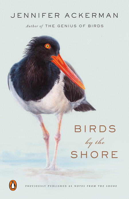 BIRDS BY THE SHORE: OBSERVING THE NATURAL LIFE OF THE ATLANTIC COAST
