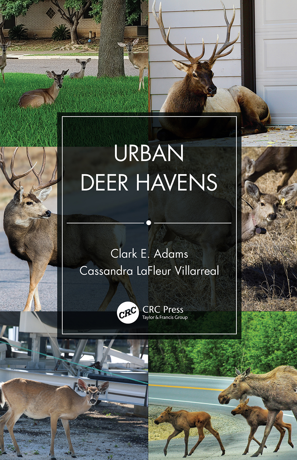 URBAN DEER HAVENS