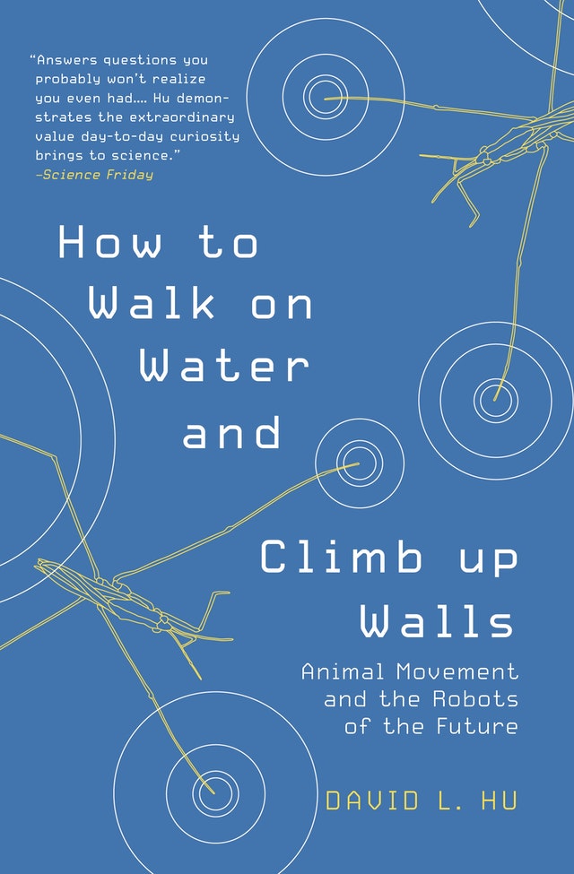 HOW TO WALK ON WATER & CLIMB UP WALLS. ANIMAL MOVEMENT & THE ROBOTS OF THE FUTURE 1