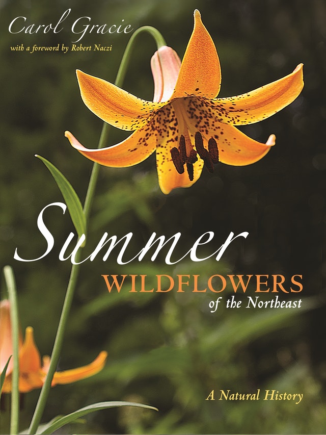 SUMMER WILDFLOWERS OF THE NORTHEAST. A NATURAL HISTORY 1