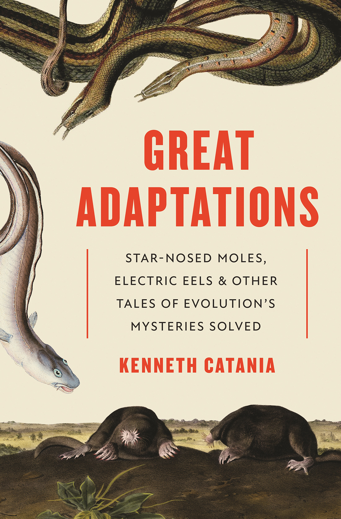 GREAT ADAPTATIONS. STAR-NOSED MOLES, ELECTRIC EELS AND OTHER TALES OF EVOLUTION'S MYSTERIES SOLVED 1