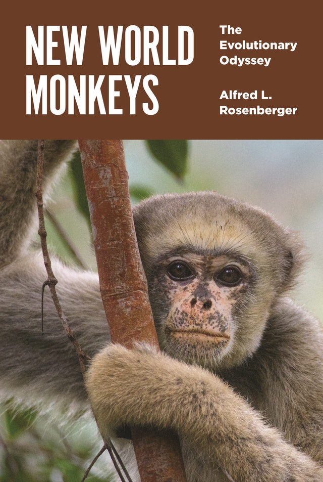 NEW WORLD MONKEYS. THE EVOLUTIONARY ODYSSEY 1