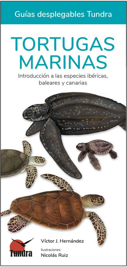 TORTUGAS MARINAS. INTRODUCCIÓN A LAS ESPECIES IBÉRICAS Y CANARIAS. GUÍAS DESPLEGABLES TUNDRA