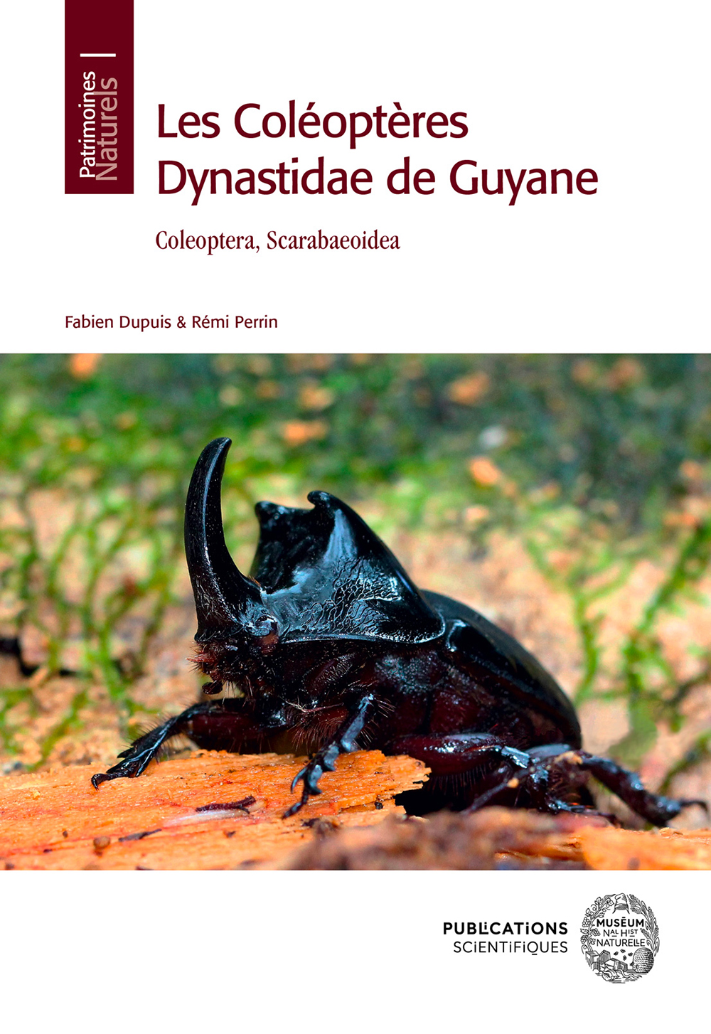 LES COLÉOPTÈRES DYNASTIDAE DE GUYANE. COLEOPTERA SCARABAEOIDEA 1