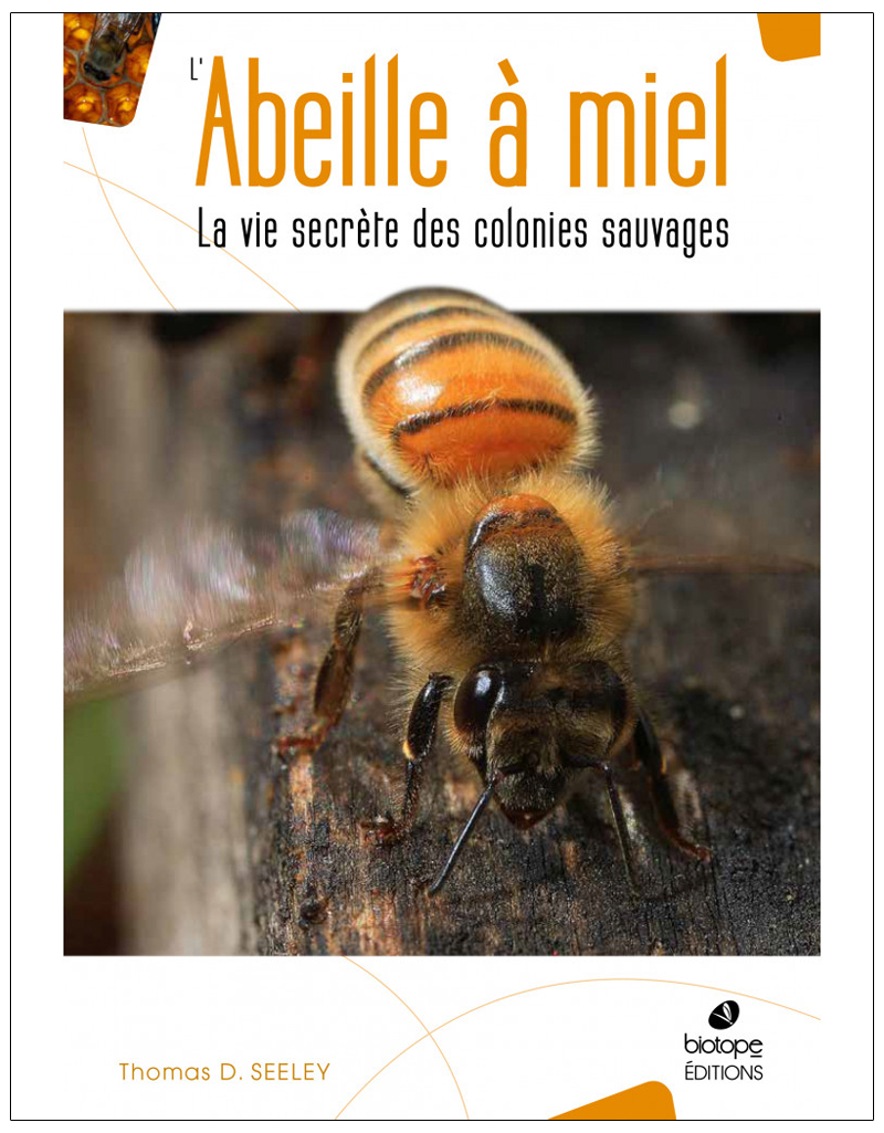 L'ABEILLE À MIEL - LA VIE SECRÈTE DES COLONIES SAUVAGES 1
