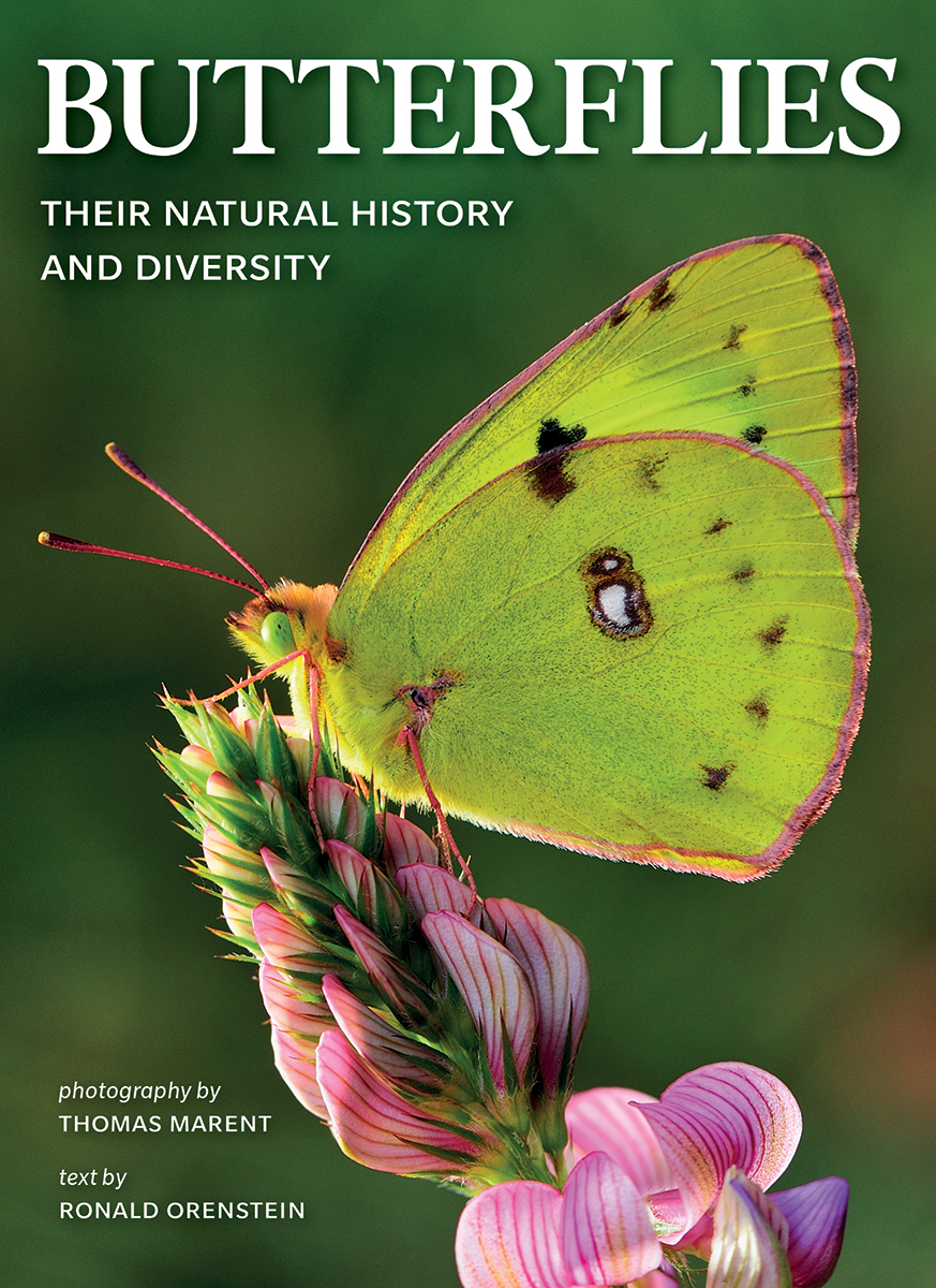 BUTTERFLIES. THEIR NATURAL HISTORY AND DIVERSITY