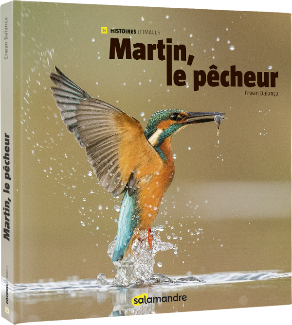 MARTIN, LE PECHEUR. COLLECTION HISTOIRES D'IMAGES