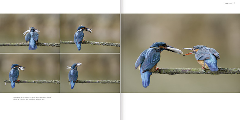 MARTIN, LE PECHEUR. COLLECTION HISTOIRES D'IMAGES 2