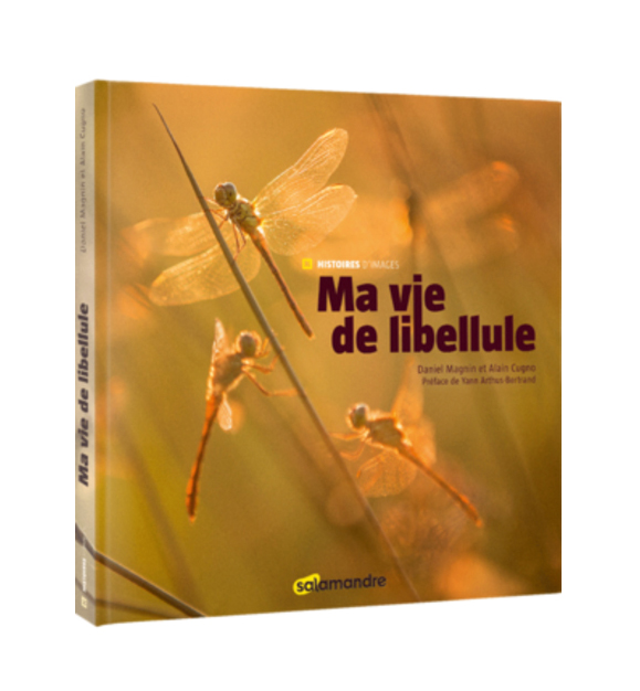 MA VIE DE LIBELLULE. COLLECTION HISTOIRES D'IMAGES