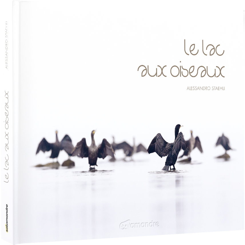 LE LAC AUX OISEAUX