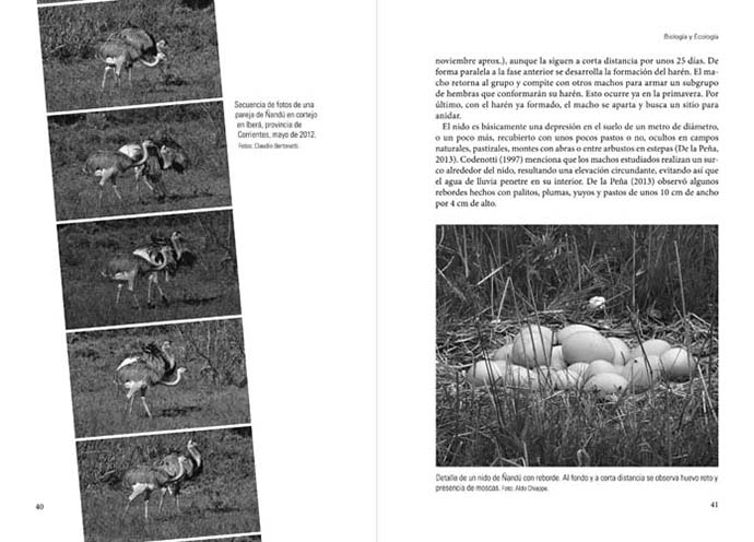 EL ÑANDÚ (RHEA AMERICANA)) 2