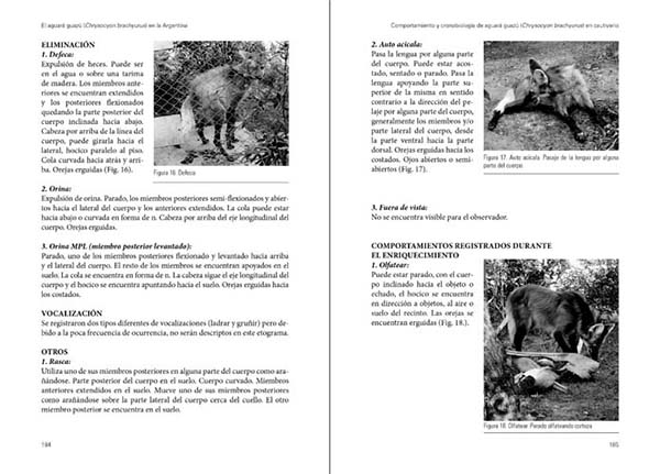 EL AGUARÁ GUAZÚ CHRYSOCYON BRACHYURUS EN LA ARGENTINA. LECCIONES APRENDIDAS Y RECOMENDACIONES PARA SU CONSERVACIÓN 4
