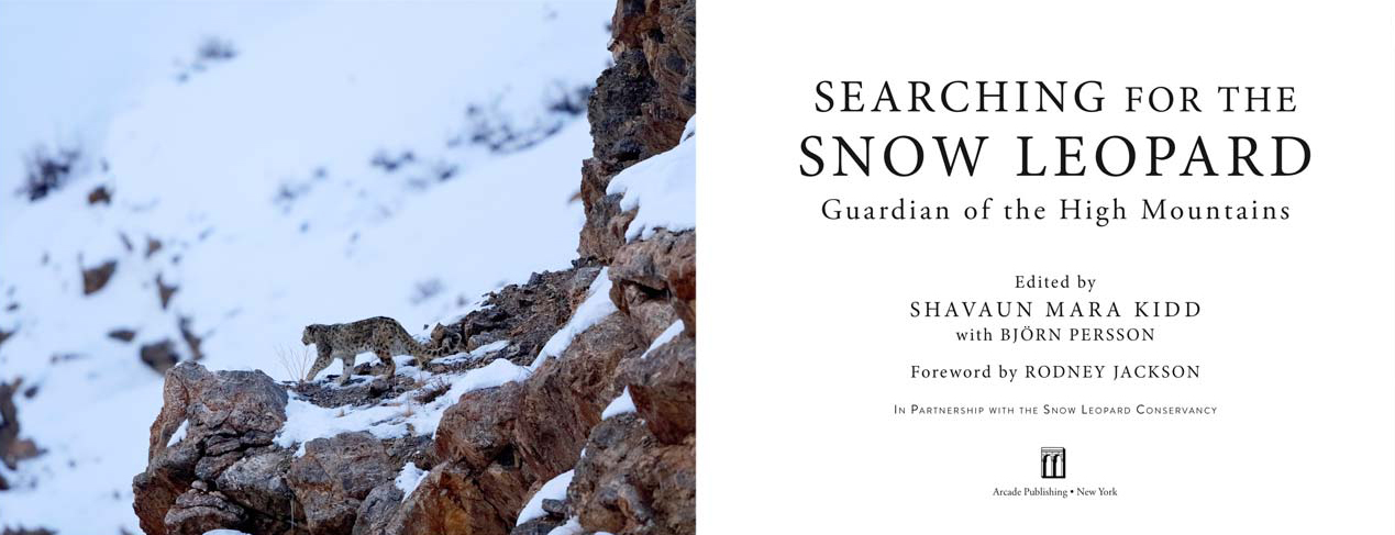 SEARCHING FOR THE SNOW LEOPARD. GUARDIAN OF THE HIGH MOUNTAINS 2
