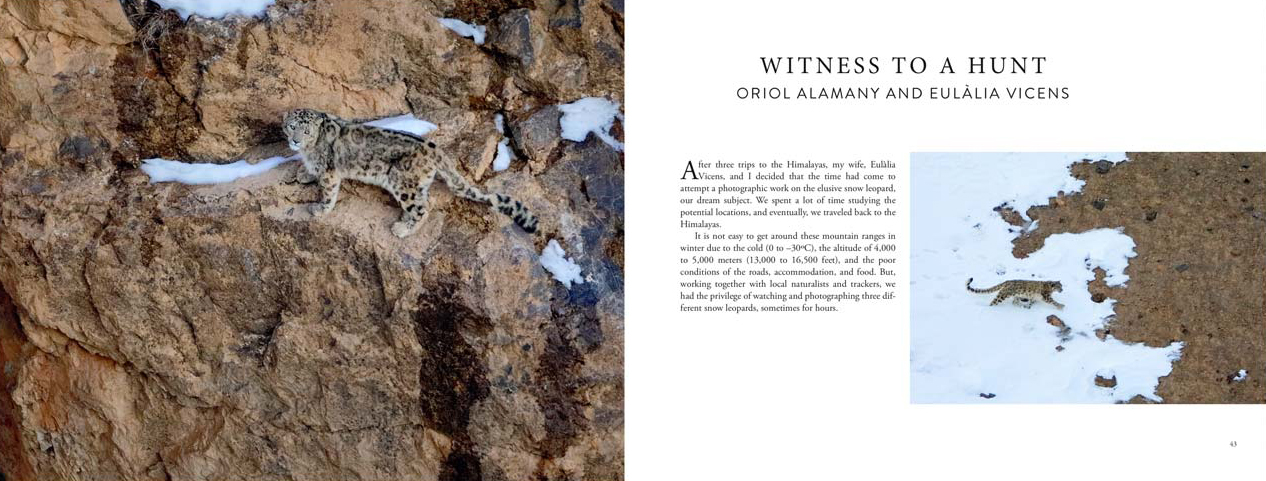 SEARCHING FOR THE SNOW LEOPARD. GUARDIAN OF THE HIGH MOUNTAINS 3