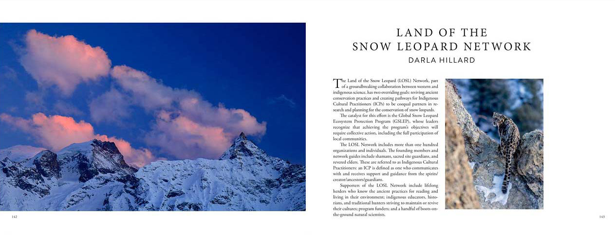 SEARCHING FOR THE SNOW LEOPARD. GUARDIAN OF THE HIGH MOUNTAINS 4