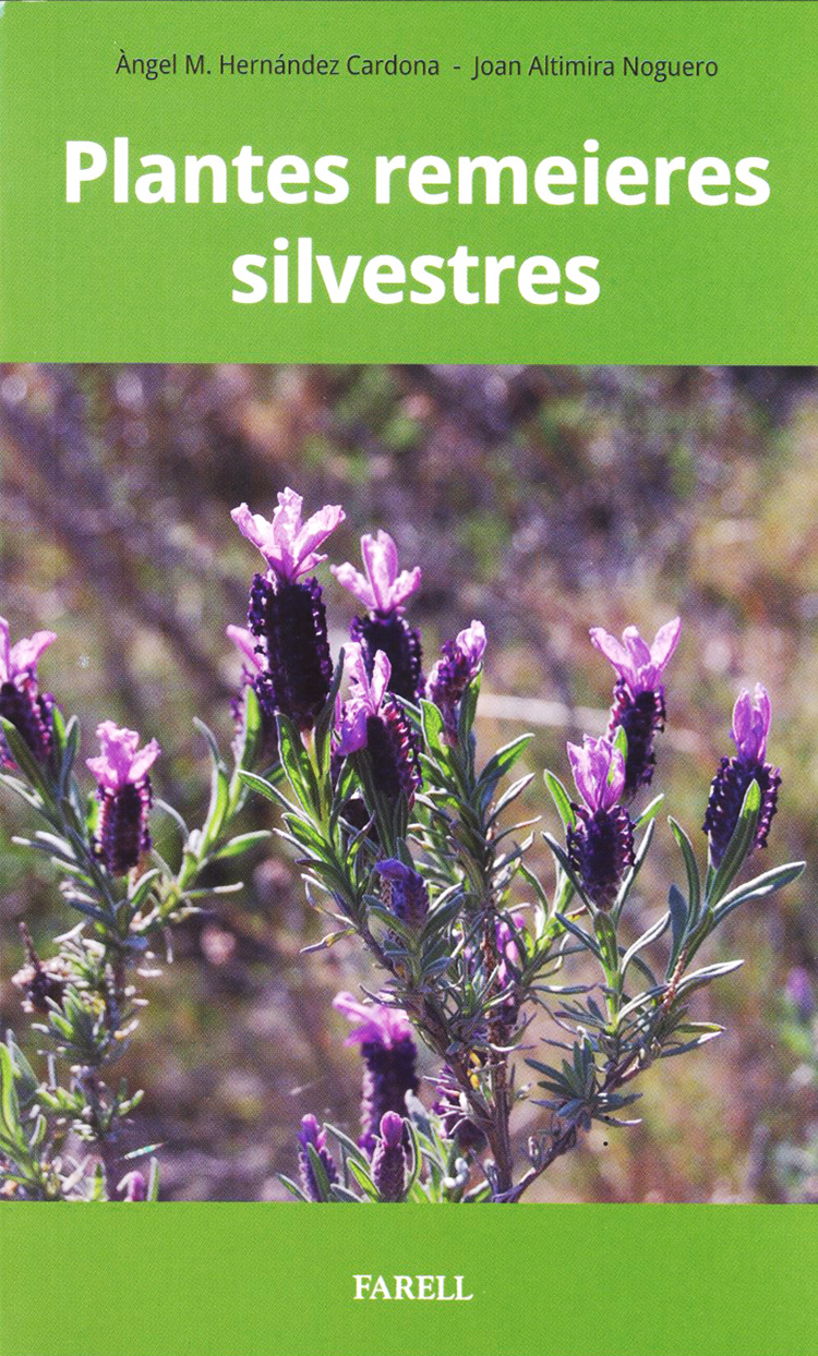 PLANTES REMEIERES SILVESTRES 1