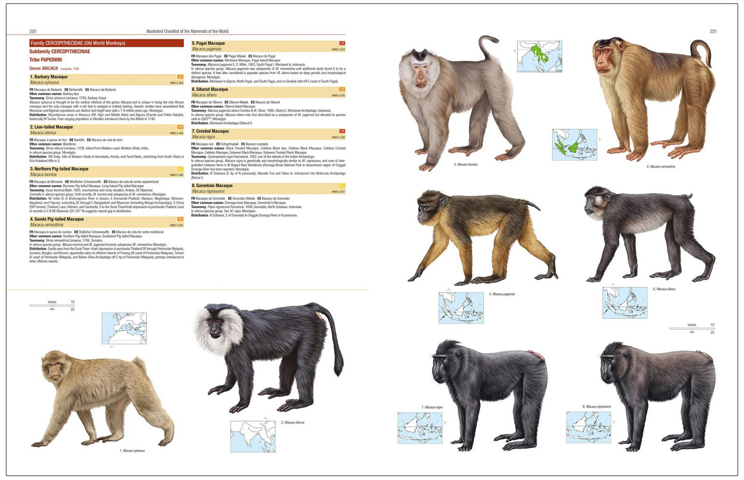 ILLUSTRATED CHECKLIST OF THE MAMMALS OF THE WORLD 5